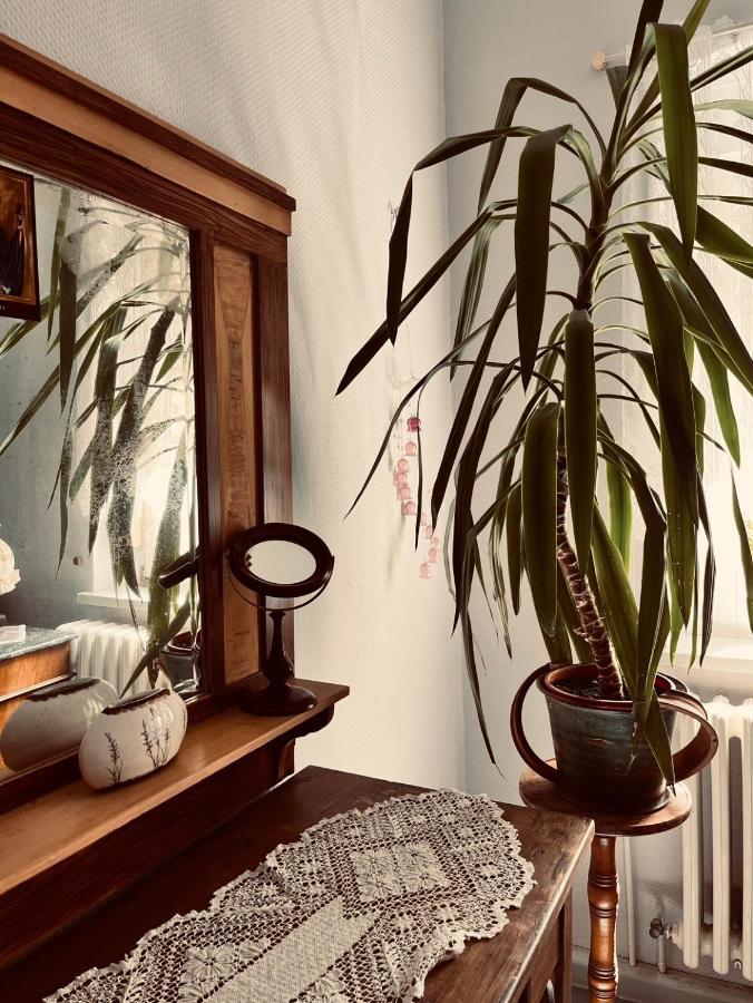 Ferienwohnung Geister Naumburg  Ngoại thất bức ảnh